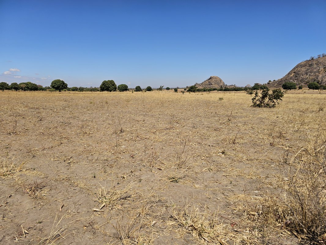 Anne Mwale's farm in Petauke District, Zambia, illustrates the severe impact of climate change on local agriculture. Photo: PATH