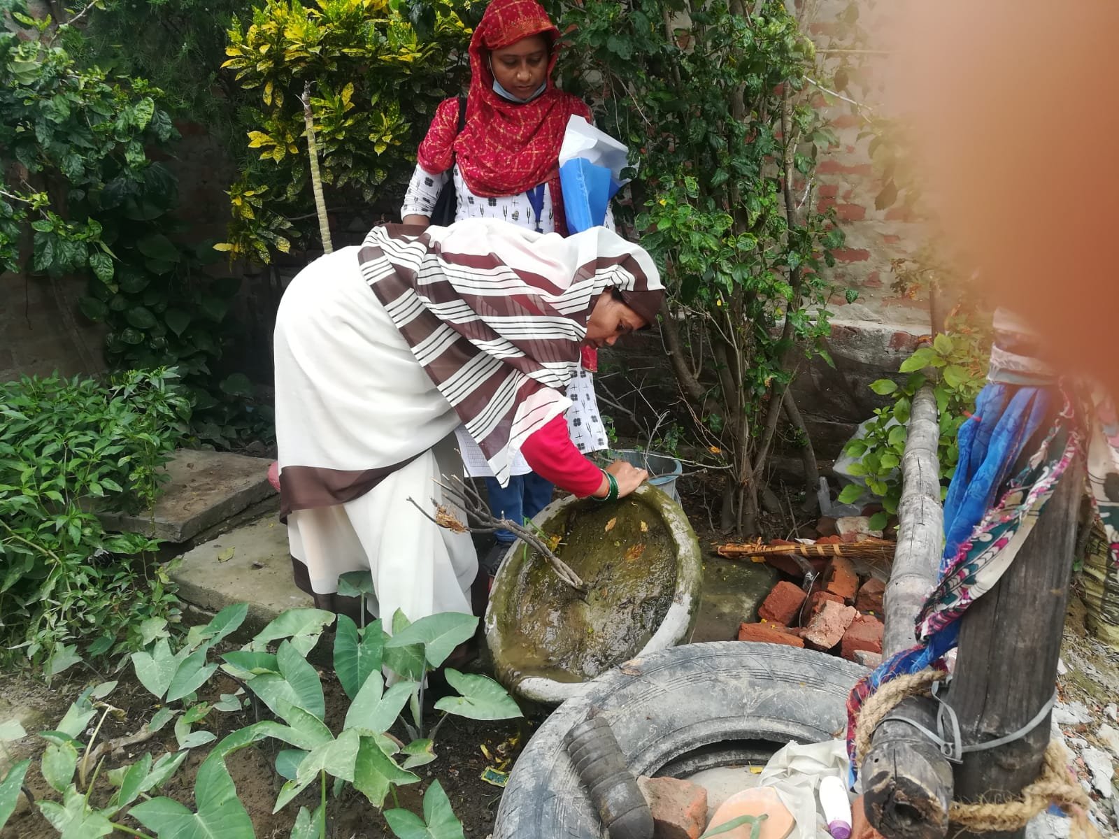 Larval source reduction activity by ASHA worker to reduce dengue
