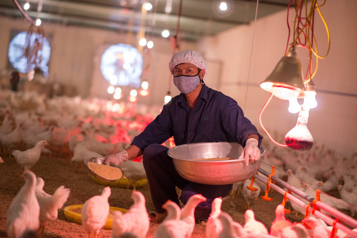 chickens in IVAC henhouse with staff member_PATH/Matthew Dakin.jpg