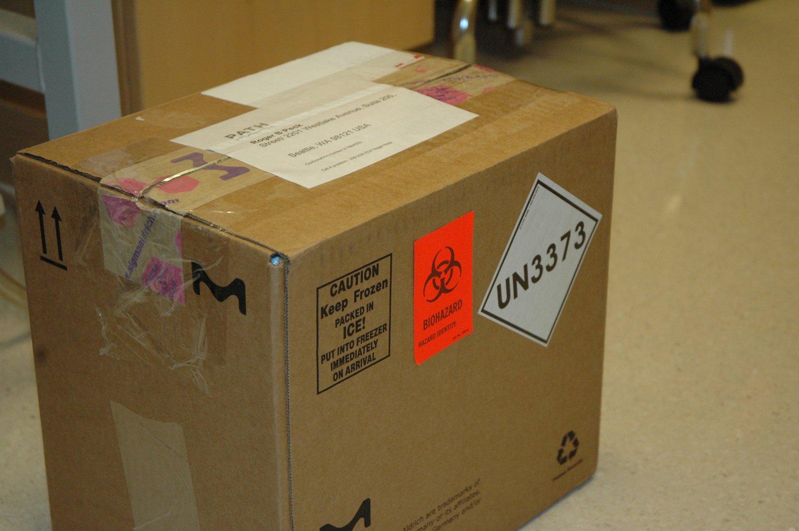 The first COVID-19 samples arrive at the PATH lab for the Washington COVID-19 Biorepository