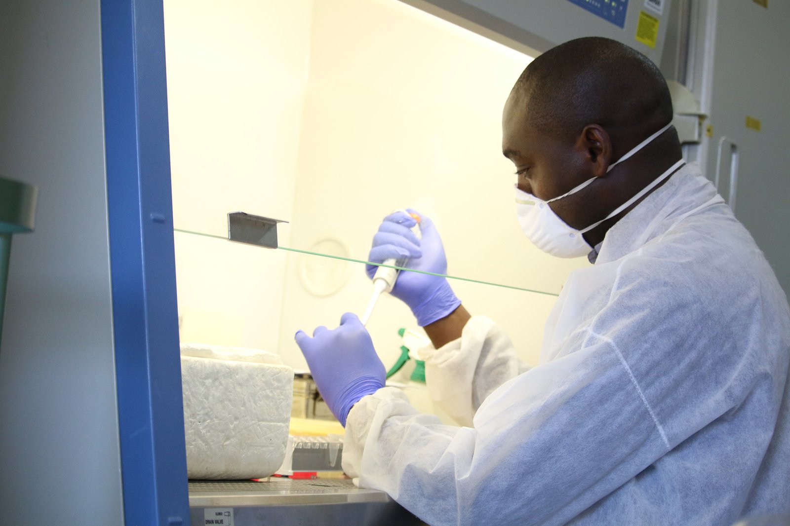 Joseph Ndebe, UNZAVET laboratory technologist, prepares SARS-CoV-2 samples for sequencing. Photo: PATH/Mirriam Chimba.