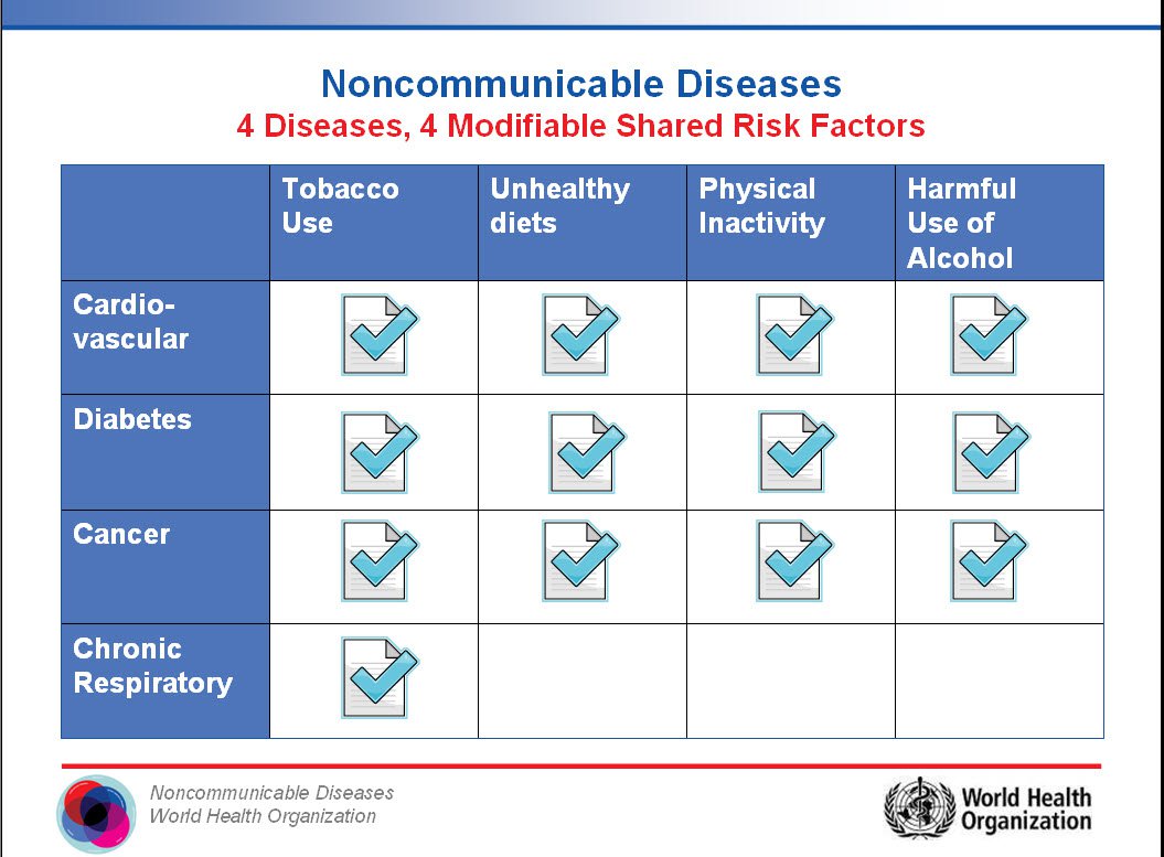 Chart showing 4 primary risk factors for cardiovascular disease, diabetes, cancer, and chronic respiratory disease.