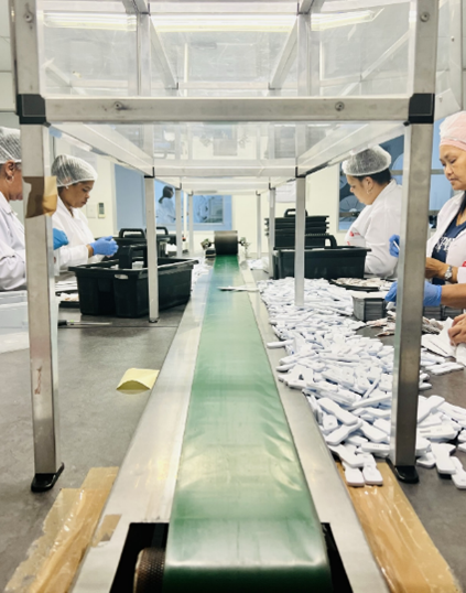 African manufacturing