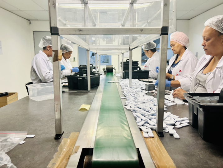 African manufacturing