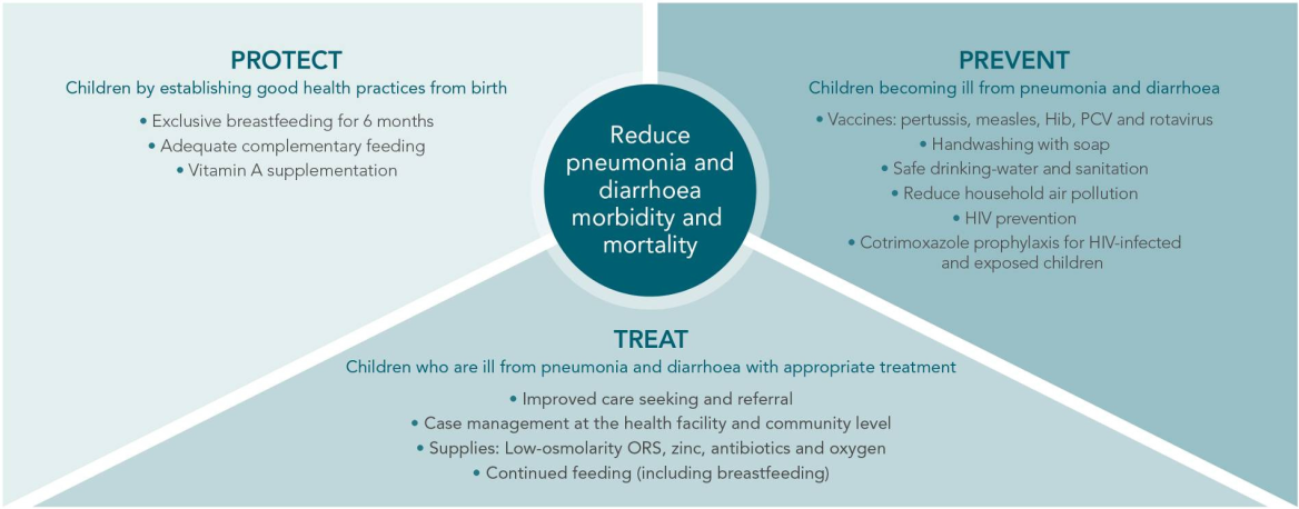 Figure showing the necessary actions for pneumonia and diarrhea prevention, treatment, and protection.