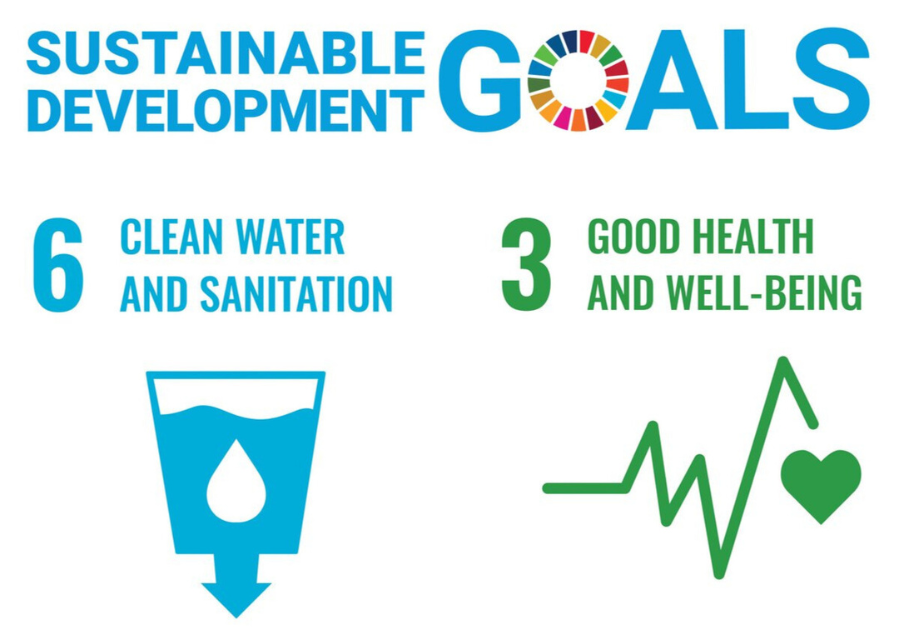 SDG logo goals 3 and 6 resized