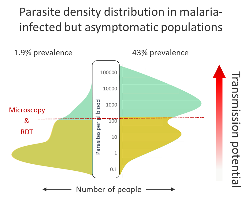 Malaria parasite density distributions