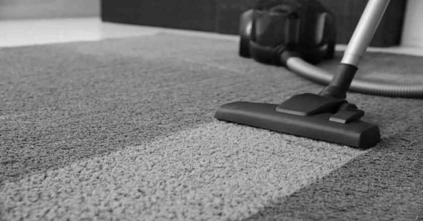 Experience the Difference: Professional Carpet Cleaning Techniques